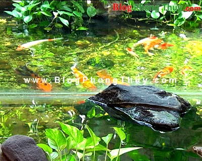 Cấu trúc và đồ đạc trong vườn
