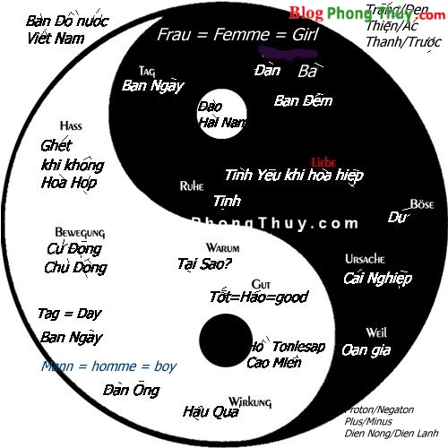 Dương và Âm