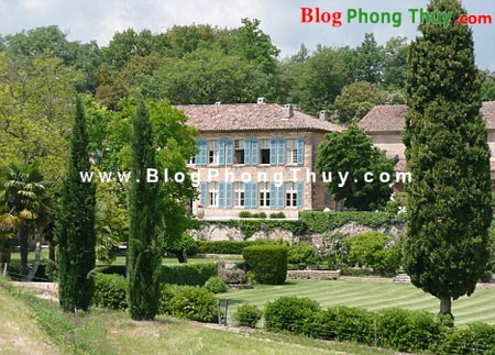Bố trí hài hòa cho cây xanh