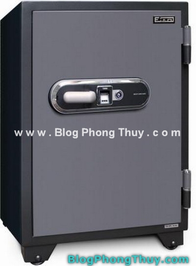 Vị trí đặt két sắt trong phong thủy (kết hợp với Tỳ Hưu,Thiềm Thừ và Tiền hoa mai)