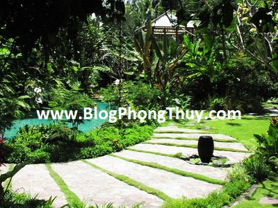 Những điều cần tránh trong sân