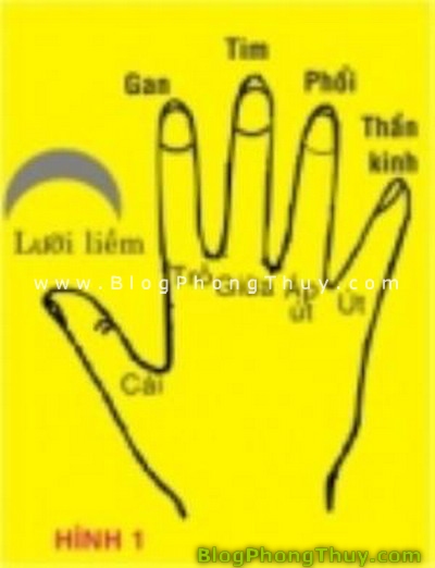 Xem tướng tay theo phong thủy (P.1)
