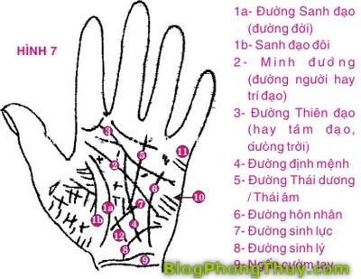 Xem tướng tay theo phong thủy (P.12)