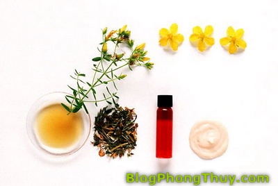 Cách sử dụng tinh dầu và mùi hương kích thích năng lượng theo phong thủy