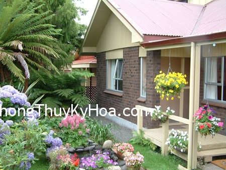 20642 20642 Lý thuyết dành cho nhà hướng Đông và hướng Tây