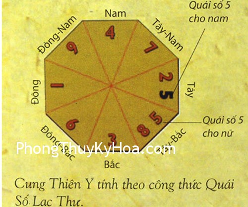 Phong thủy cho sức khỏe