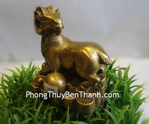 De-dong-G243-02 De dong G243 02 Vận may của tuổi Mùi trong năm