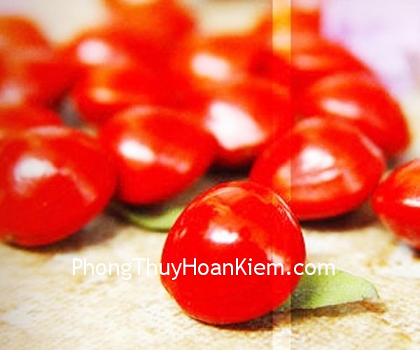 Tranh hạt đậu đỏ (hạt đậu tương)