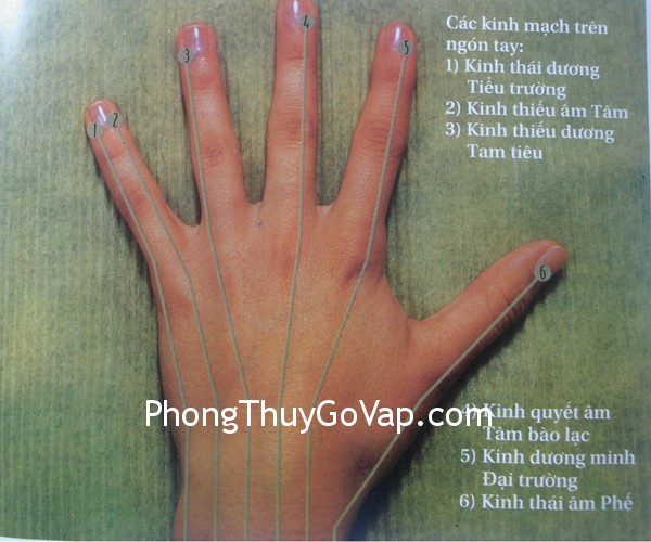 Bài trí phòng làm việc riêng (P.6)