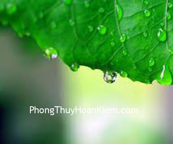 Treo tranh trong phòng bếp