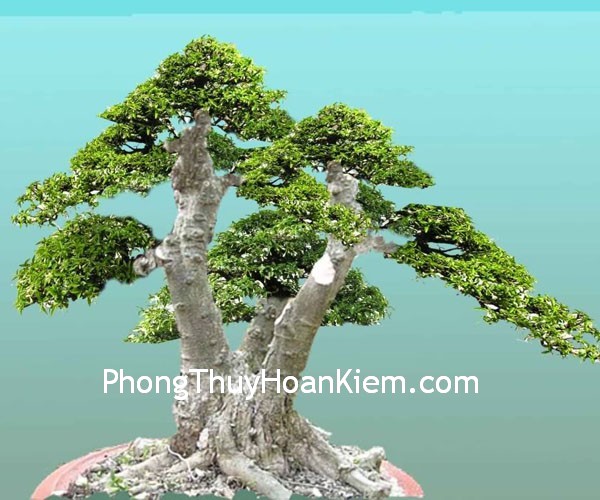 Tranh “Nghênh khách tùng”