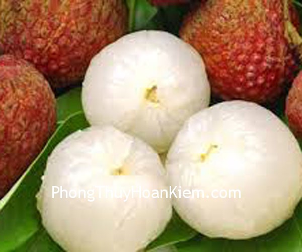 qua- vai qua vai Tranh quả vải