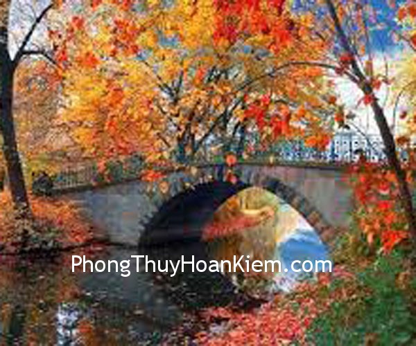 phong- canh phong canh Treo tranh tạo không khí cho phòng ăn