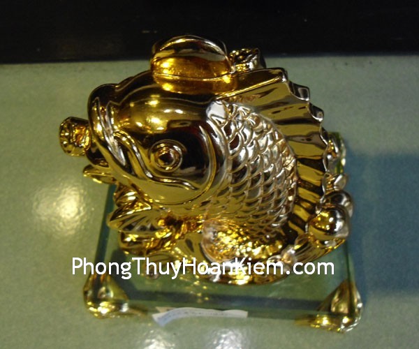 ca-chep-vang-02 ca chep vang 02 Bố cục phong thủy tại vị trí quẻ Khảm có ảnh hưởng tới trung nam trong gia đình không?