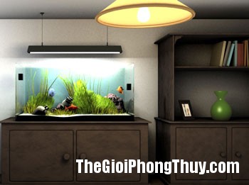 Những kiêng kị khi đặt bể cá cảnh trong nhà
