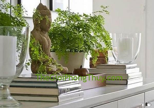 Những lưu ý phong thủy khi bài trí tượng Phật trong nhà