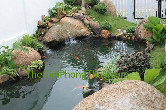 Những lưu ý đối với hồ nước trong vườn