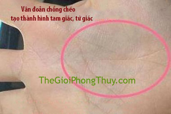 Xem vận mệnh người phụ nữ qua lòng bàn tay