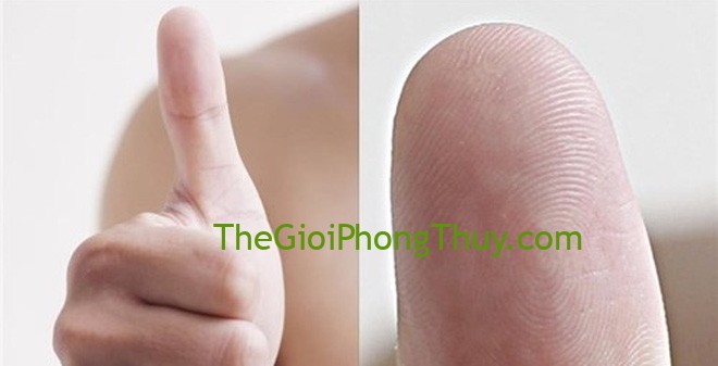 Xem bói hoa tay: 10 hoa tay si tình, không có hoa tay chung thủy