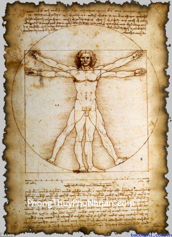 Vitruvian Man1 Vận dụng âm và dương, não trái và não phải