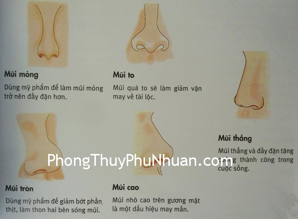 DSC08961 Mũi và vận may về tài lộc