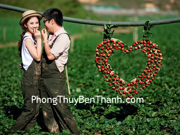 van may tinh yeu tuoi suu Tình yêu cho người tuổi Sửu