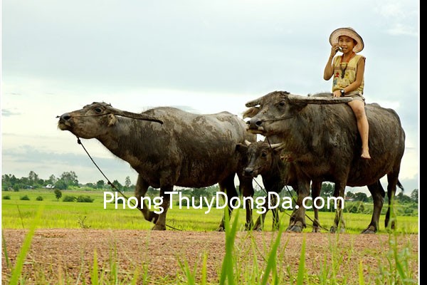 trau Tuyệt chiêu cải vận thần kỳ (P3)