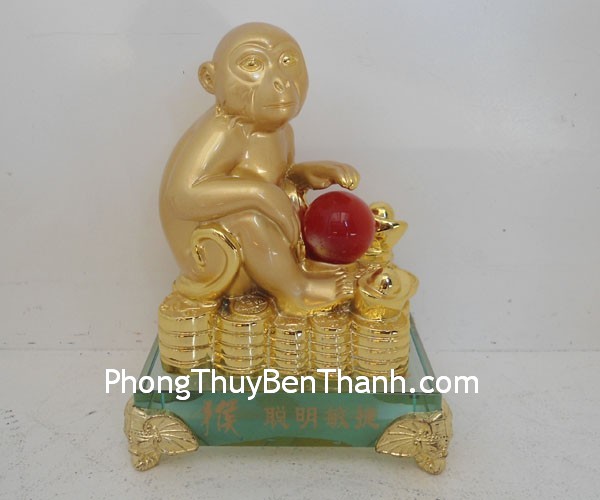 khi thong minh y355 02 Tuổi Thân