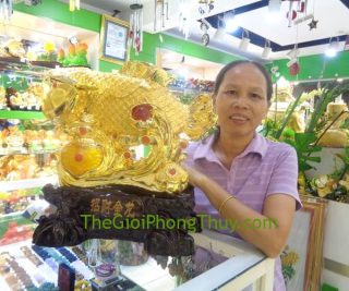 Cô Bảy - Khách hàng mua cá kim long vàng FH288G