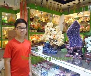 Anh Phúc - Khách hàng mua cây tài lộc thạch anh vàng phong thủy luân FKC035