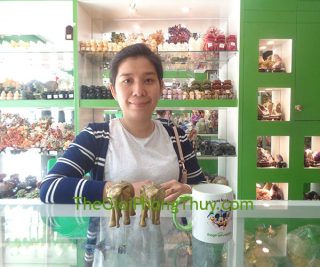 Chị Phượng - Khách hàng mua Voi đồng FD157