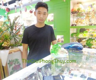 Anh Ninh - Khách Hàng mua Bắp cải lưu ly FH198G