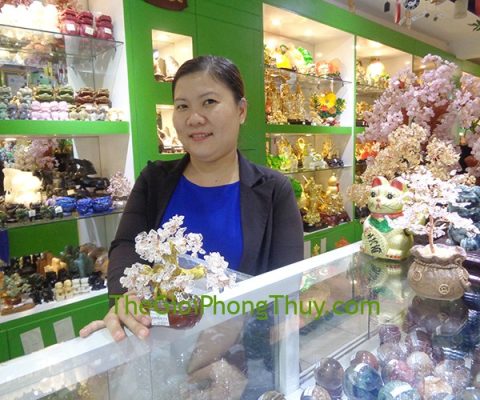 Chị Huyền - Khách hàng mua Cây tài lộc gốc đẹp thạch anh trắng nhỏ FKC093