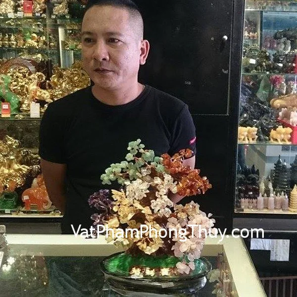 Anh Quang - Khách hàng mua cây tài lộc 6 màu HCA258