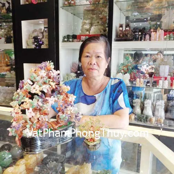 Cô Hường - khách hàng mua Cây tài lộc thạch anh nhiều màu KC004, Cây đá cẩm lãm CA218
