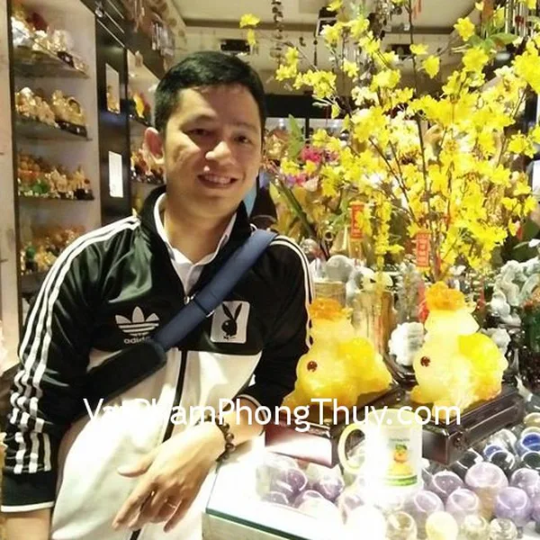 Anh Thanh -Khách hàng mua tượng Tỳ Hưu lưu ly ngọc vàng đuôi có xâu tiền ngũ đế G168A