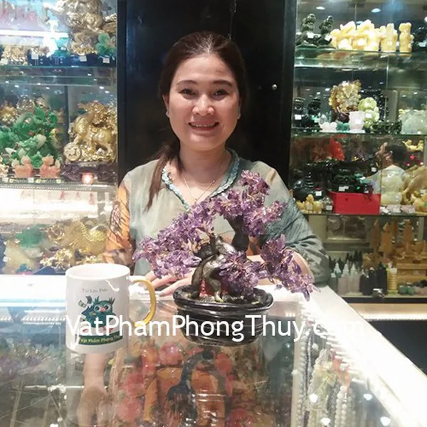 Cô Trang - Khách hàng mua Cây tài lộc thạch anh tím KC084