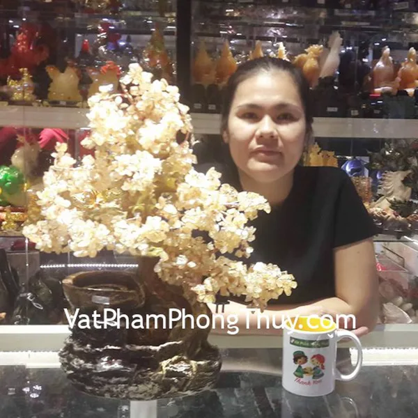 Chị Cương - khách hàng mua Cây tài lộc thạch anh vàng phong thủy luân KC035