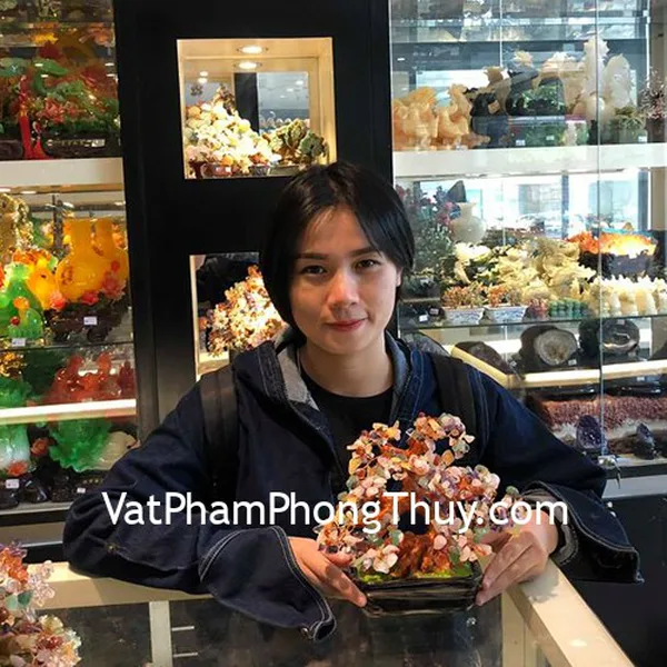 Chị Phương - khách hàng mua cây tài lộc nhiều màu KC024