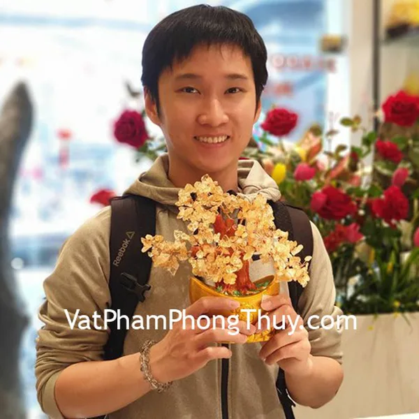 Anh Hiếu - khách hàng mua cây tài lộc ngũ sắc KC117 và chuỗi thạch anh tóc đen S6749-4627