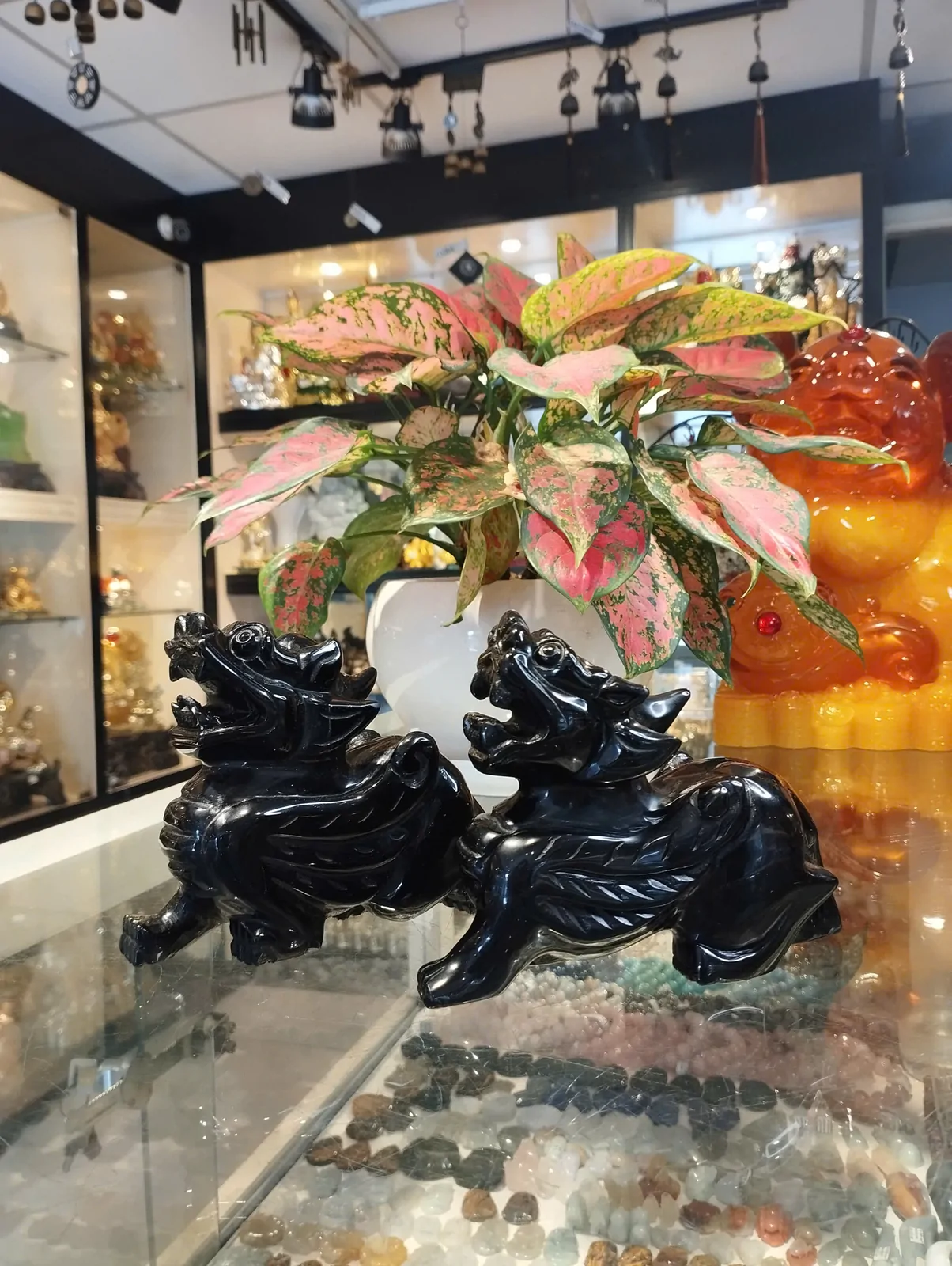 Tỳ hưu hắc ngà sừng, cánh vểnh, trung M018