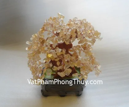 Cây đá thạch anh vàng, chậu vuông vừa CA207