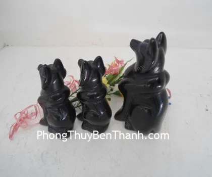 Hồ ly hắc ngà trung K078