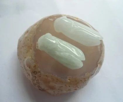 Ngọc thiền phỉ thúy tinh xảo A+ S6034