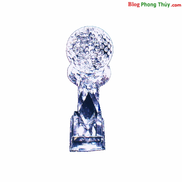 Các giác quan – Thị giác