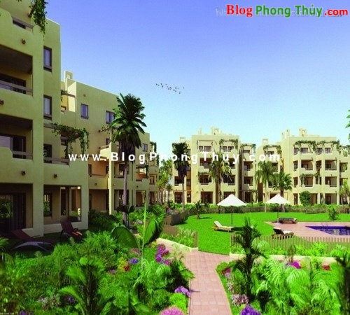 Bố trí cây xanh hài hoà theo phong thủy