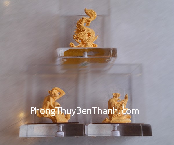 tam-hop-01 tam hop 01. copy Tam hợp