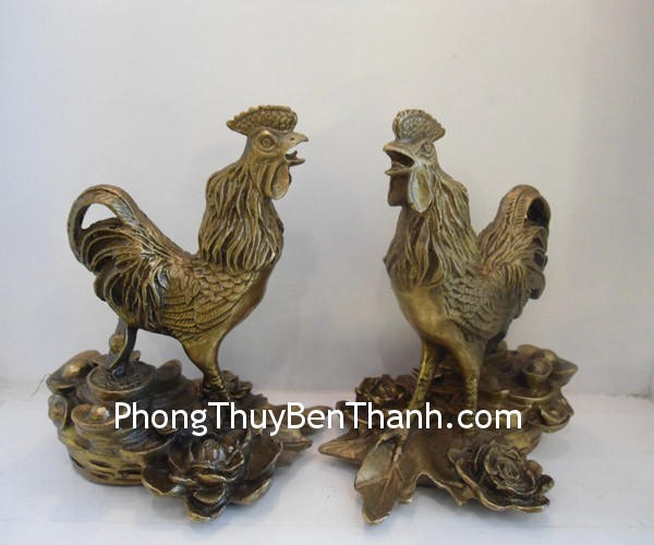 Tử vi tuổi Dậu năm 2013 Quý Tỵ: Ất Dậu, Đinh Dậu, Kỷ Dậu, Quý Dậu, Tân Dậu ga dong lon d1124 Tử vi tuổi Dậu năm 2013 Quý Tỵ: Ất Dậu, Đinh Dậu, Kỷ Dậu, Quý Dậu, Tân Dậu