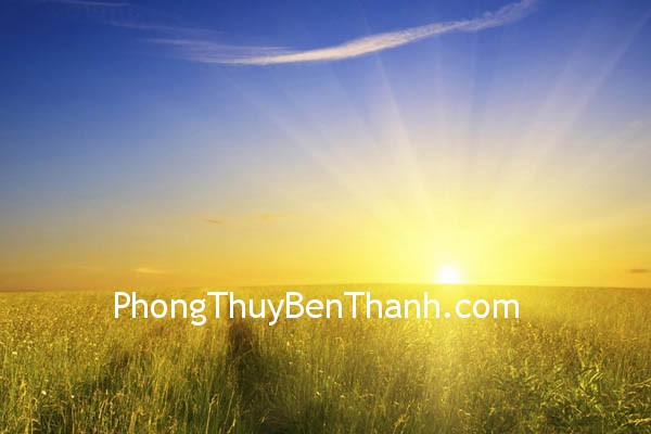 mat-troi-va-quan-he-xa-hoi mat troi va quan he xa hoi Mặt trời kích hoạt mối quan hệ xã hội