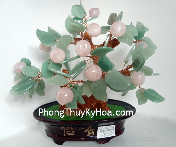 cay-dao01 cay dao01 Thu hút vận may